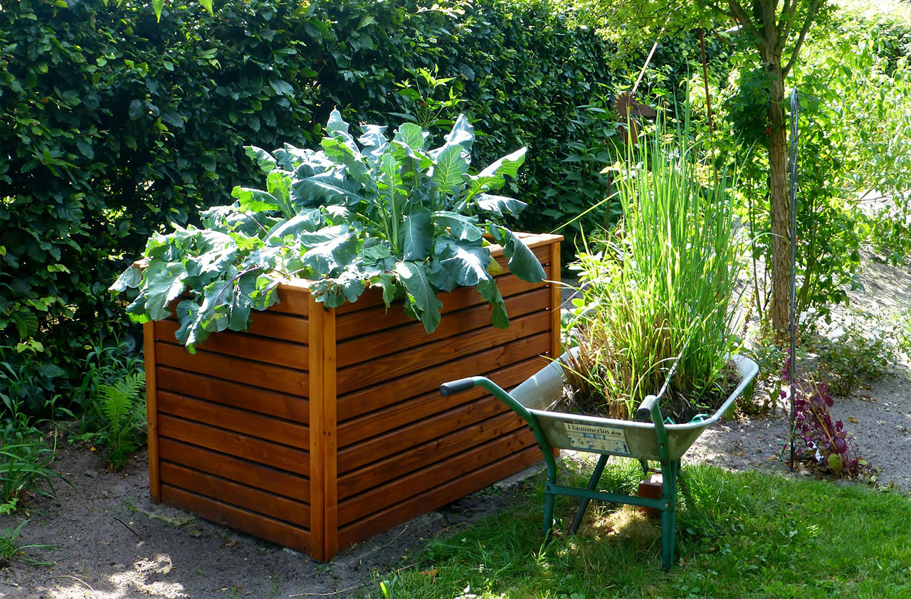 raised bed wooden garden