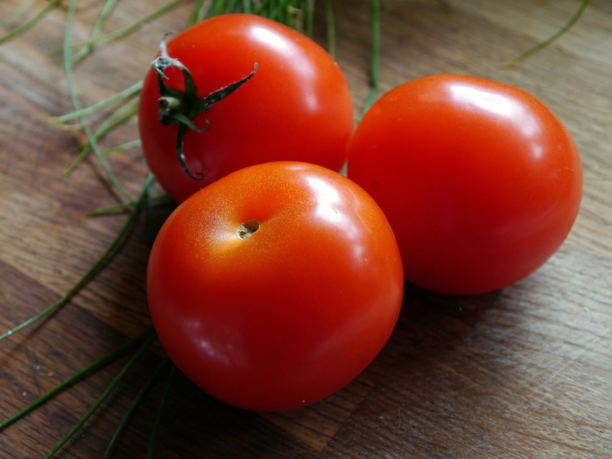 How much sun should tomato plants get Idea