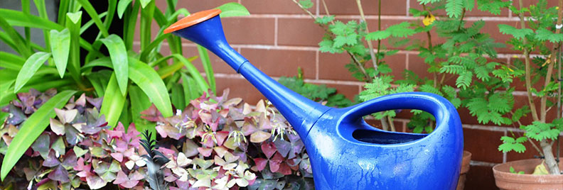 container gardening moisture feature