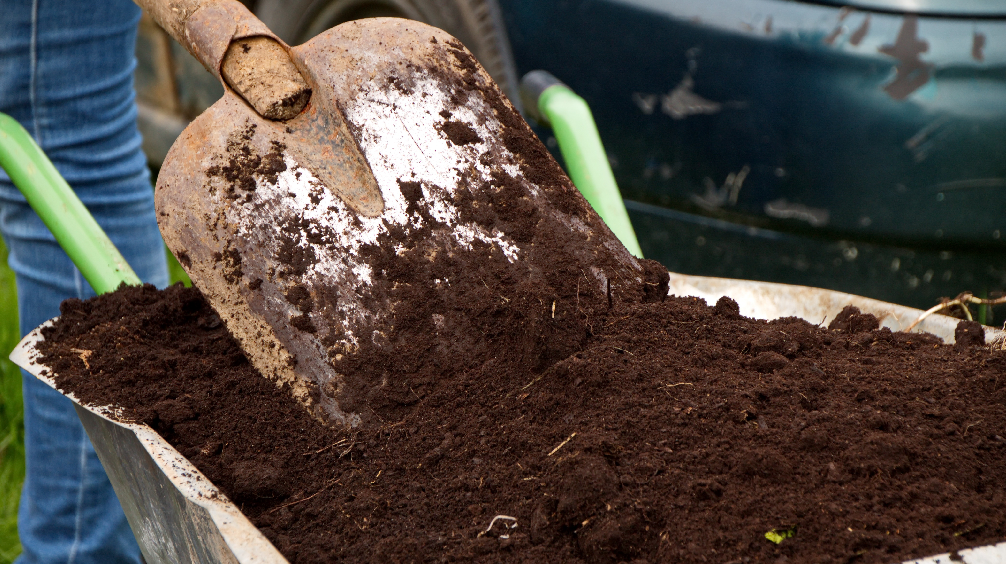 All You Need To Know About Potting With Peat - Plants for All Seasons