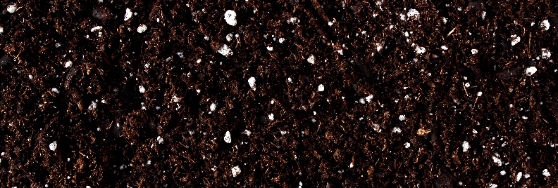 Potting With Peat Houston Texas Plants for all Seasons