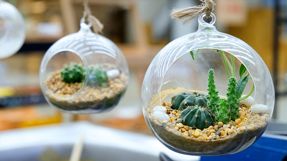 10-green-thumb-gifts-for-gardeners-hanging-terrarium