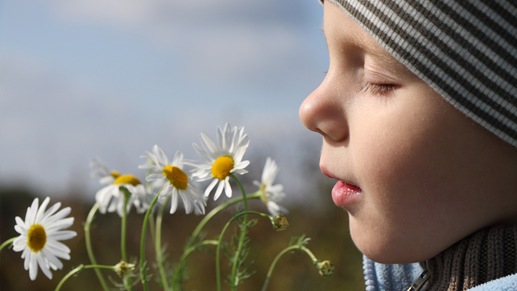 creating-wellness-child-smelling-camomile