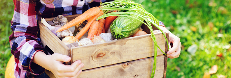 kid-friendly-vegetable-garden-box-of-vegetables-header