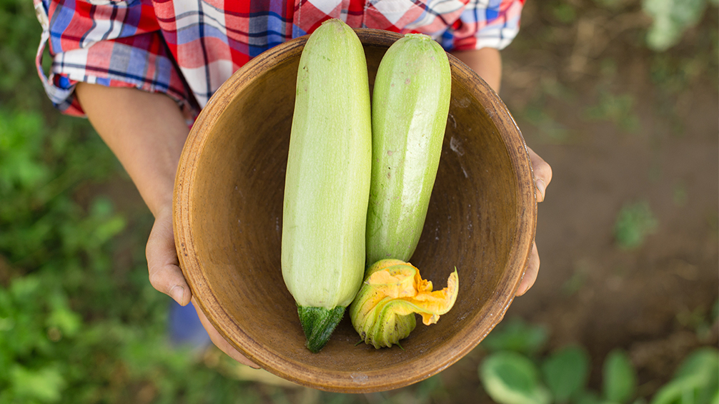 kid-friendly-vegetable-garden-child-holding-bowl-of-summer-squash