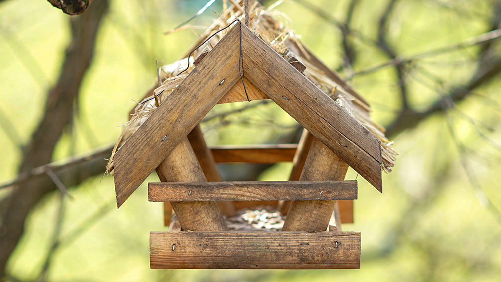 birding-5-fun-crafts-homemade-bird-feeder