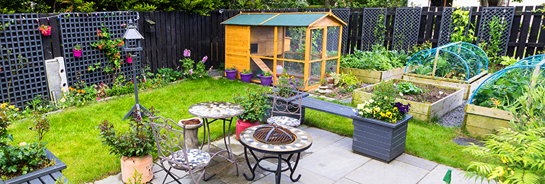 fowl-friendly-plants-header