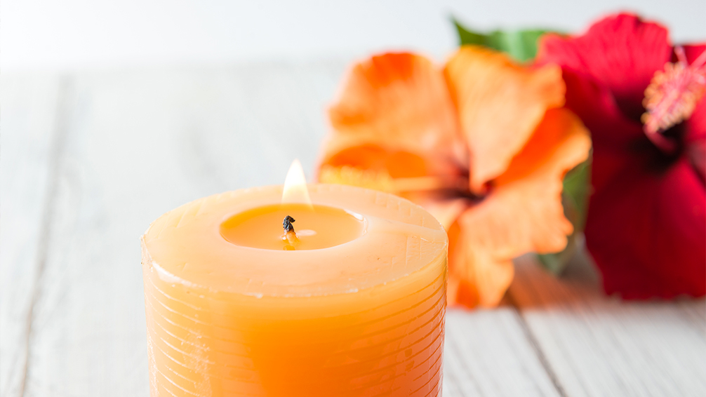 hibiscus-uses-pfas-candle