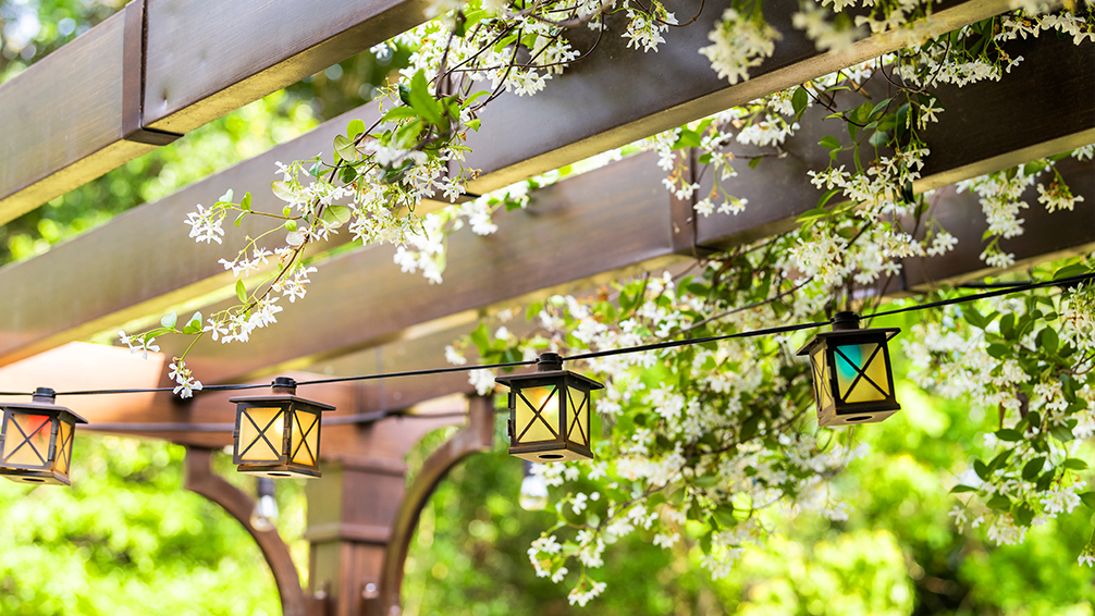 pfas-patio-design-ideas-pergola-with-vines-and-lights