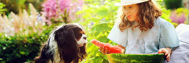 pfas-houston-summer-guide-header-girl-dog-watermelon