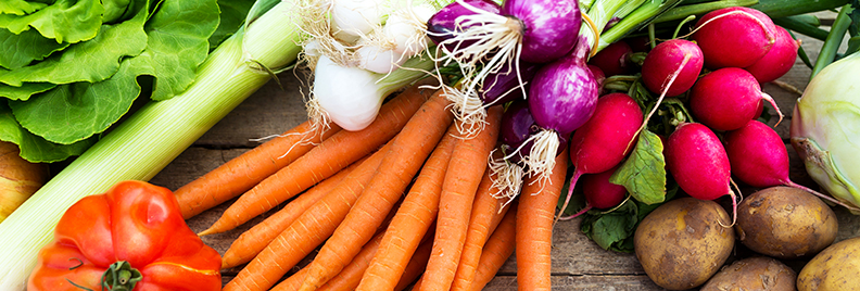 pfas-vegetable-garden-fall-crops-header