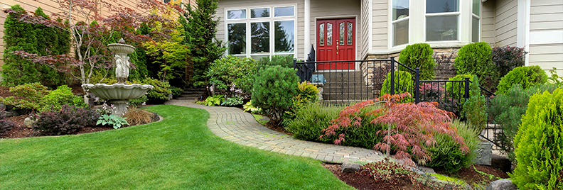 plants-for-all-seasons-watering-trees-shrubs-yard-header