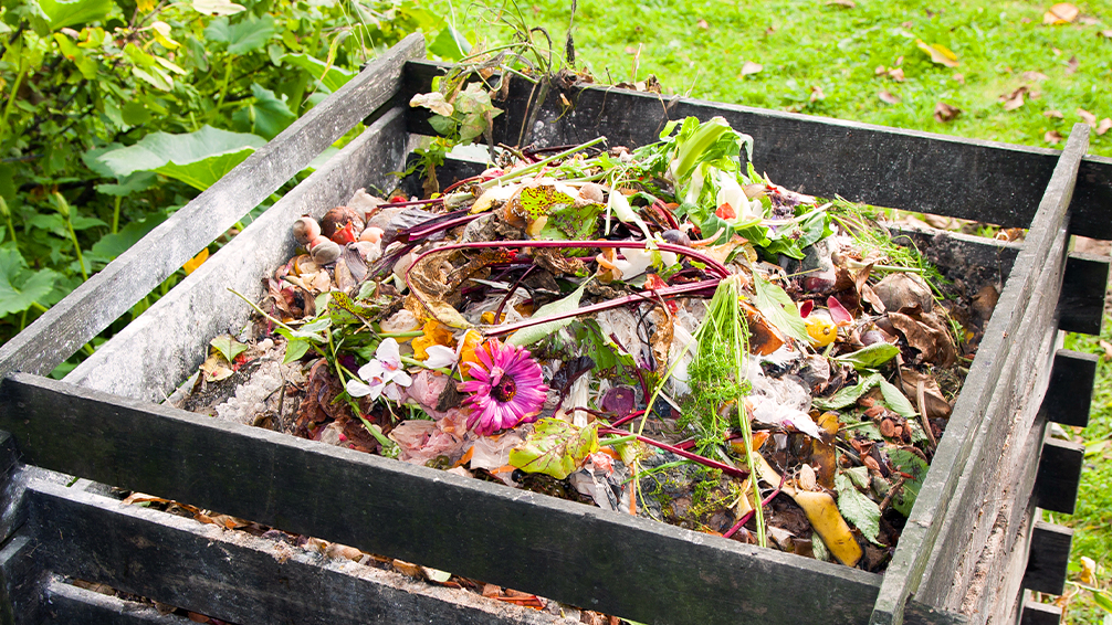 PFAS-fall-winter-garden-preparation-compost