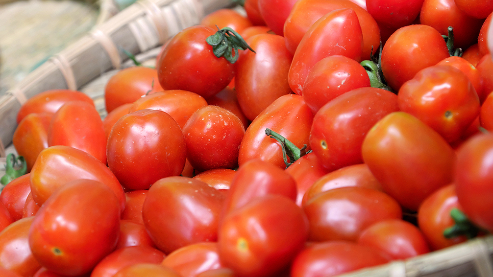 PFAS-tasty-fall-tomatoes-juliet