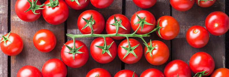 PFAS-tasty-fall-tomatoes-sweet-million-header