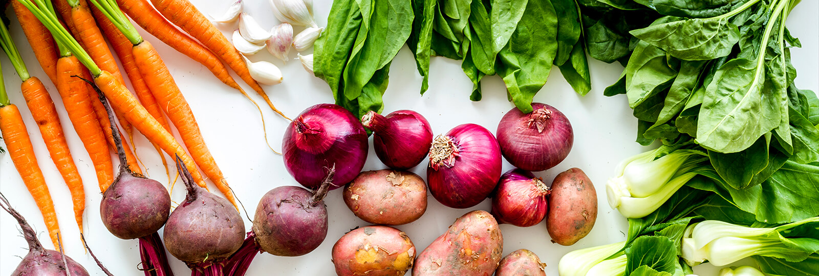 PFAS-fall-garden-veggies-carrots-beets-spinach-header
