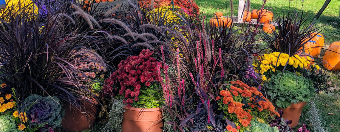 PFAS-fall-planter-boxes-autumn-potted-plants