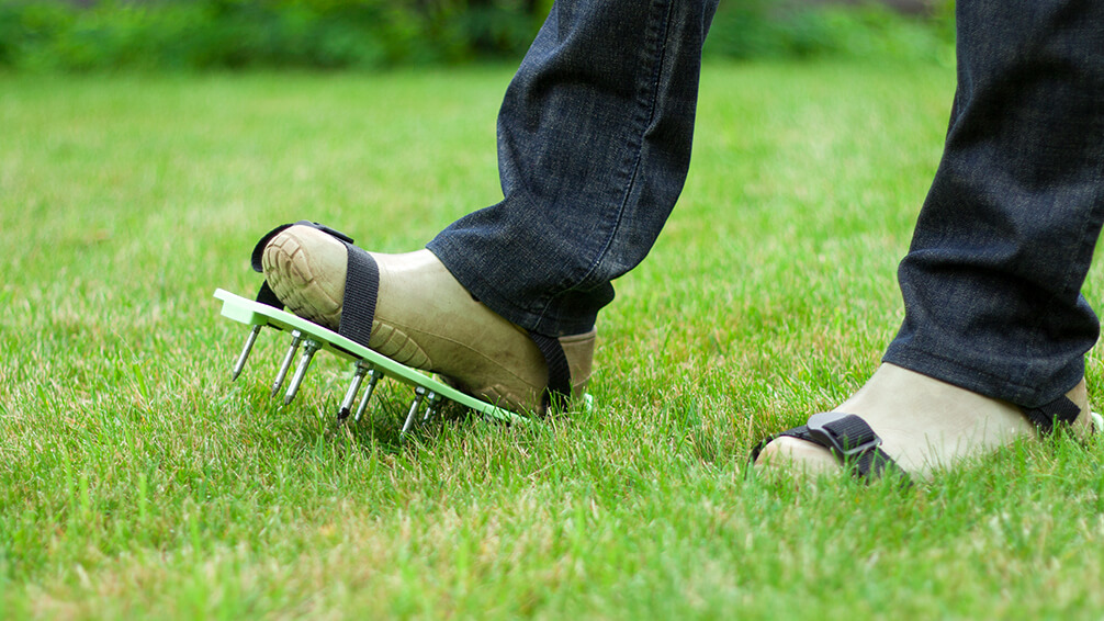 pfas-pre-winter-lawn-care-aeration-spikes-shoes