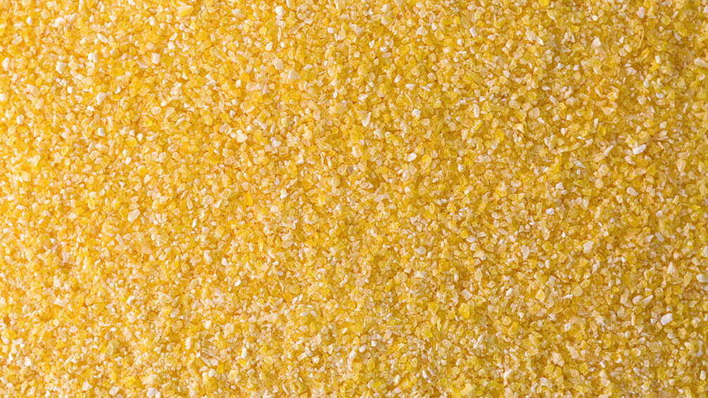 PFAS-applying-corn-gluten-lawn-up-close