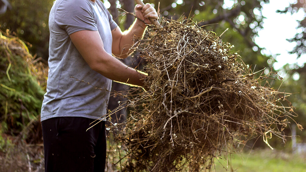PFAS-january-gardening-man-cleaning-garden-debris