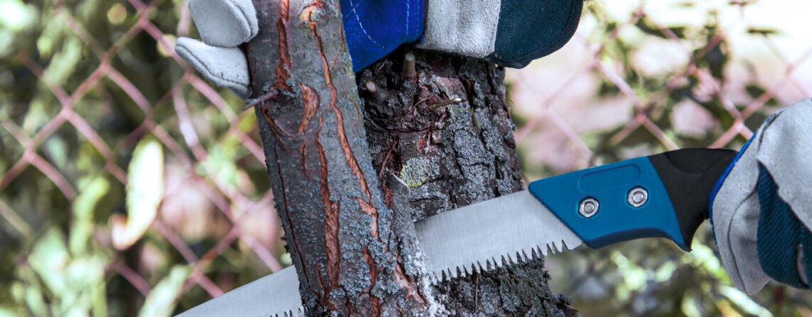 PFAS-february-pruning-gloved-hands-saw-tree