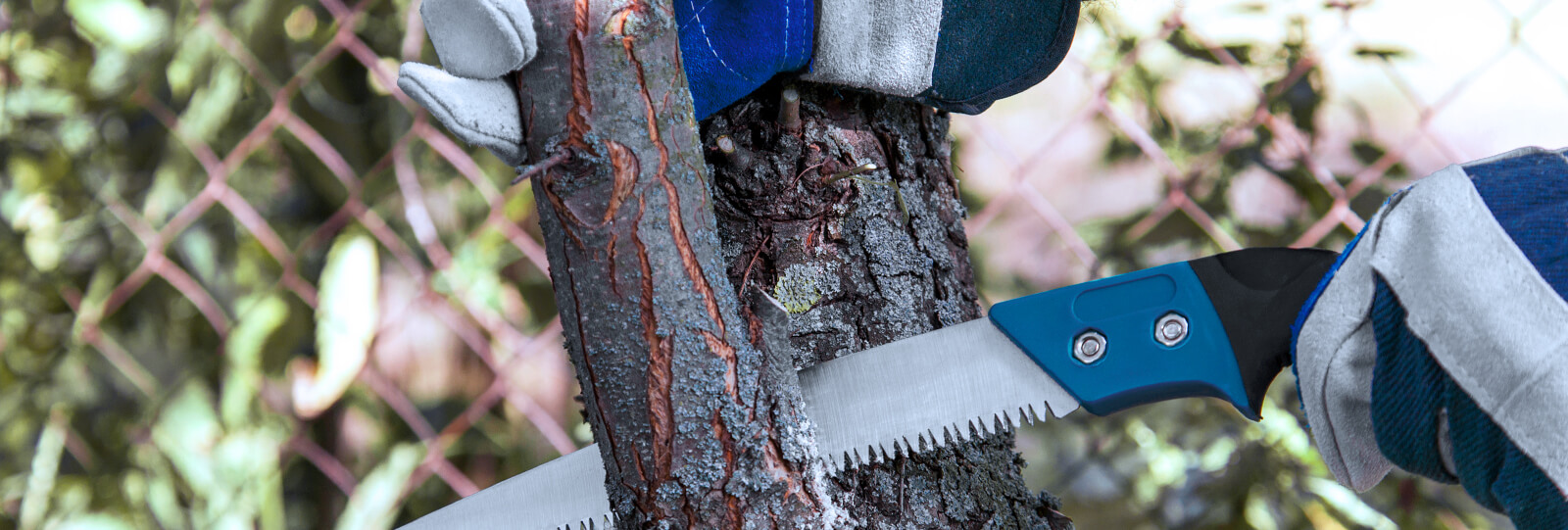 PFAS-february-pruning-gloved-hands-saw-tree