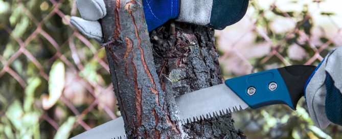 PFAS-february-pruning-gloved-hands-saw-tree