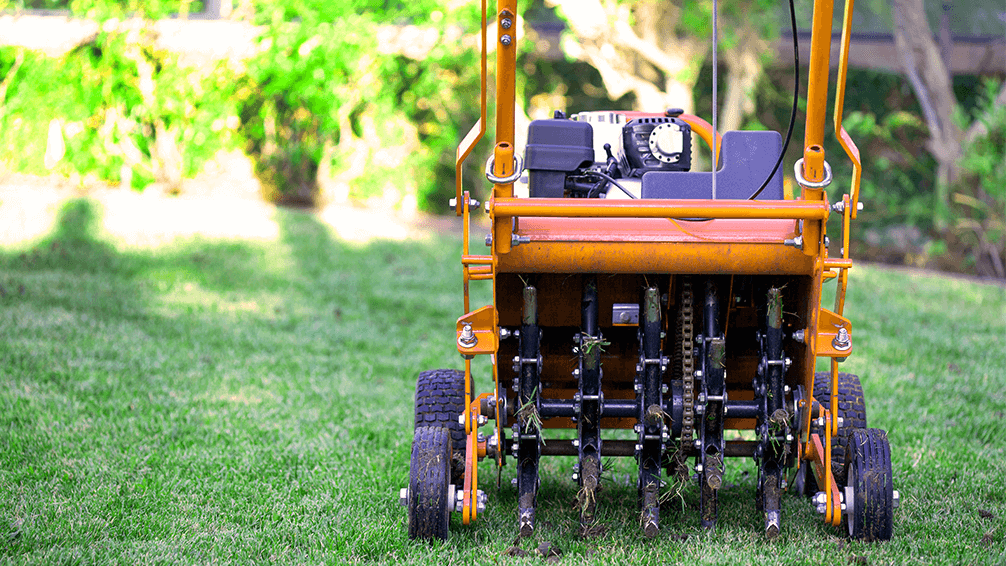 plants for all season late spring lawn care plug aerator